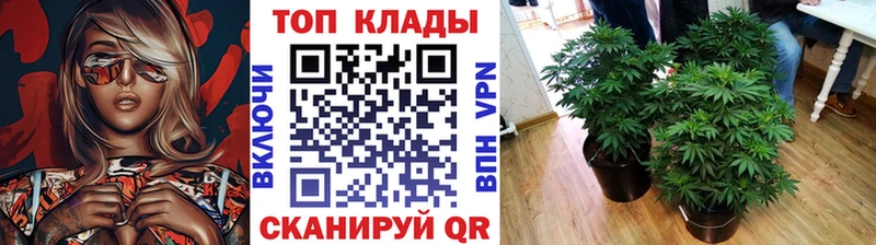 Сколько стоит Ялуторовск СК  ГАШ  blacksprut ONION  Кокаин  МАРИХУАНА 