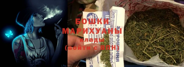 шишки Мегион