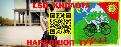 дживик Можга