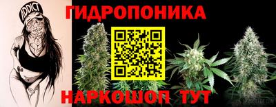дживик Можга