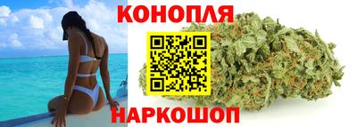 дживик Можга