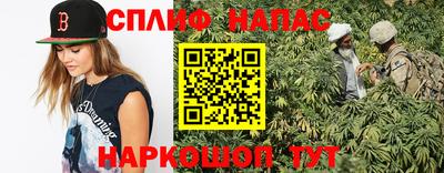 дживик Можга