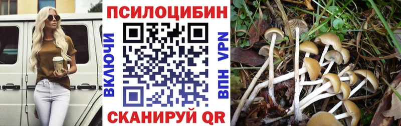 Галлюциногенные грибы мухоморы  мориарти наркотические препараты  Ялуторовск  KRAKEN онион 