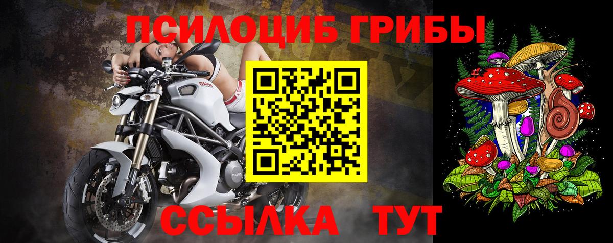 Галлюциногенные грибы GOLDEN TEACHER  Вход с VPN  Ялуторовск 