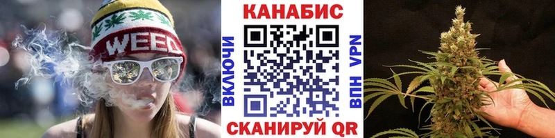 Конопля гибрид  Ялуторовск 