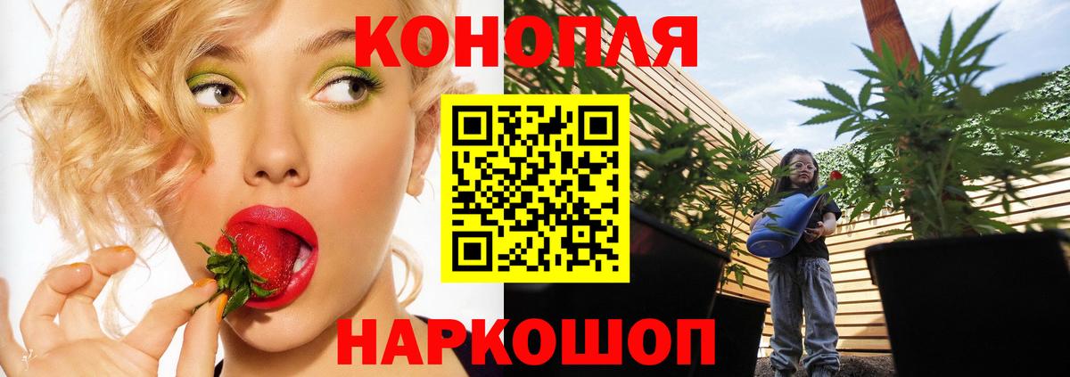 Бошки Шишки индика  Вход с VPN  Бошки марихуана AK-47  МАРИХУАНА Bruce Banner  Ялуторовск 